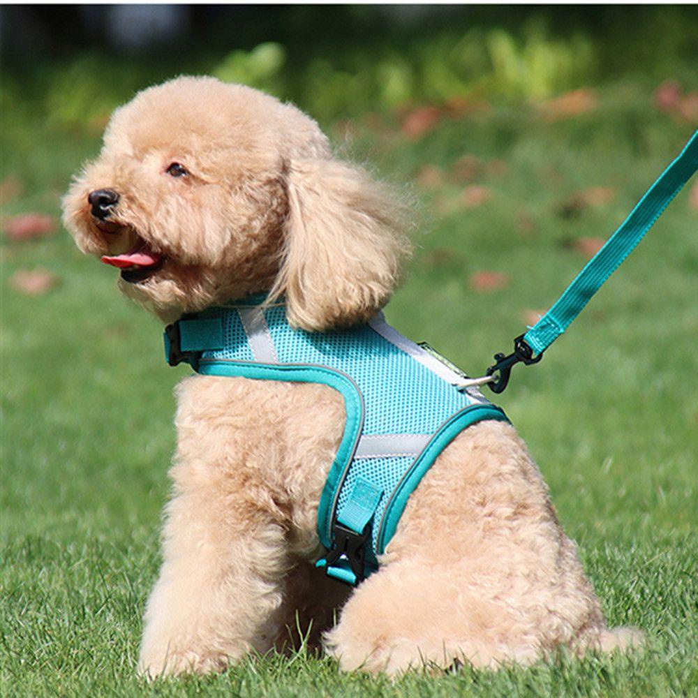 WATTLE Áo Vest Kèm Dây Dắt Thú Cưng Phản Quang Tiện Dụng