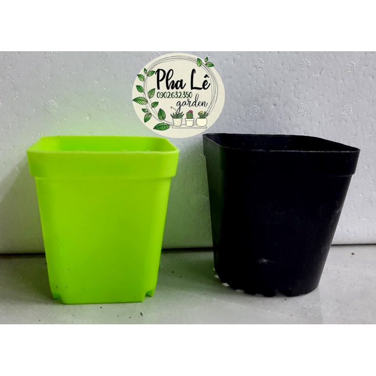 Chậu trồng cây nhựa vuông màu  7cm