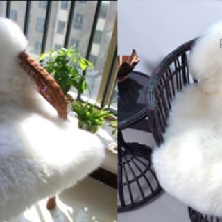 Thảm lông cừu nguyên tấm