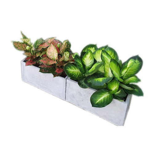 Chậu trồng cây ban công đẹp bền vĩnh viễn hình chữ nhật 20x20xD40cm bằng đá tổ ong tự nhiên