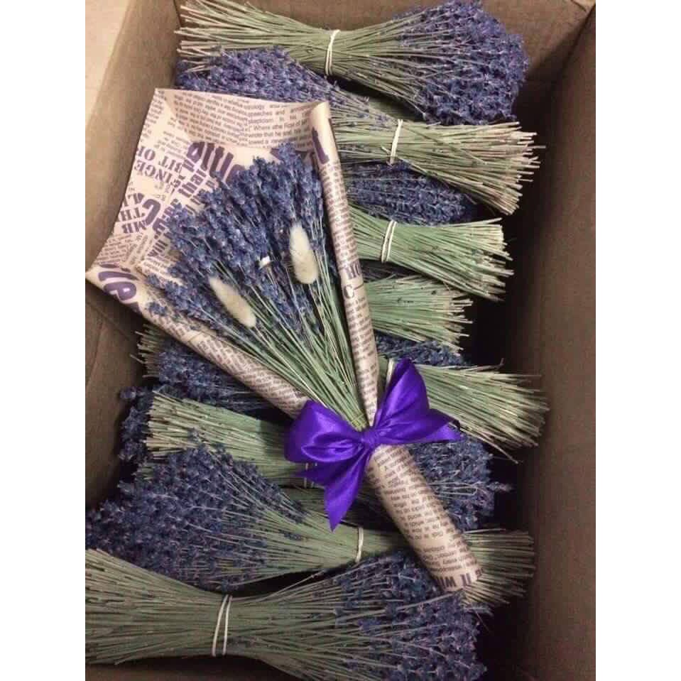 Hoa Lavender