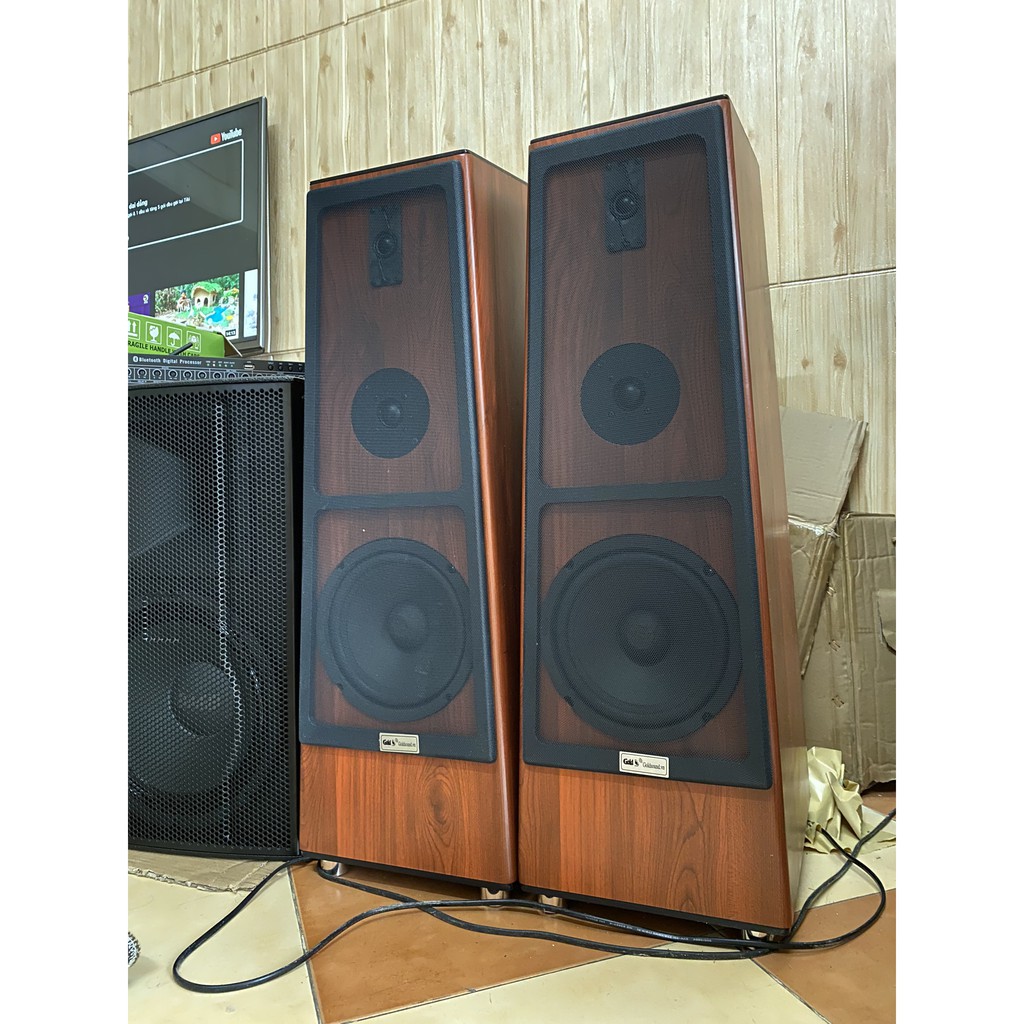 Loa cây GOLDSOUND W360 tích hợp công suất