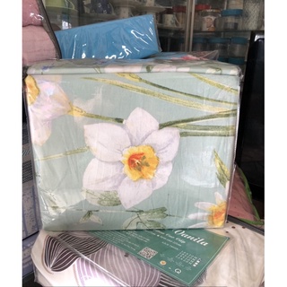 Mền + Bộ Drap hộp - size 1,6m  - M34