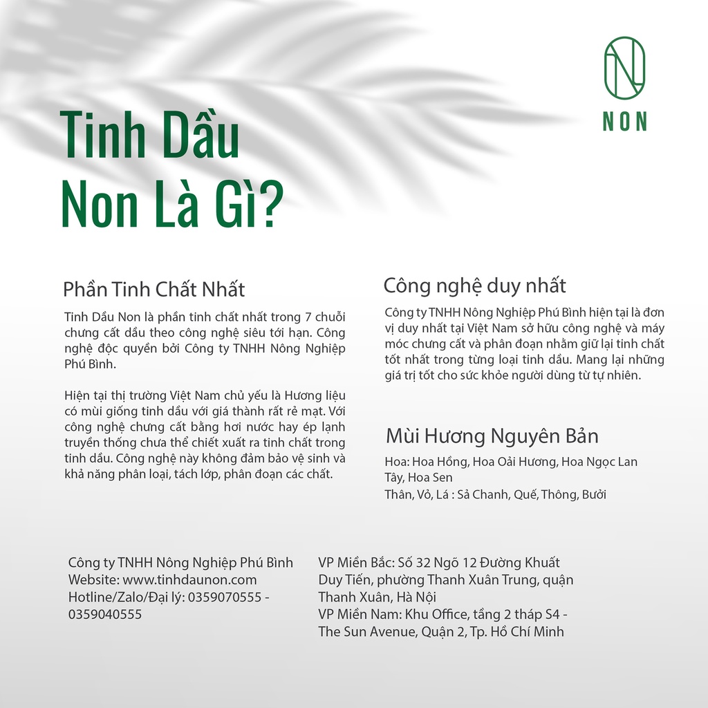 Tinh Dầu Non Gỗ Thông Trắng Giúp Khử Mùi Hiệu Quả, Ngâm Chân Giảm Tê Chân Khi Ngồi Nhiều, Hôi Chân - Hàng Chính Hãng