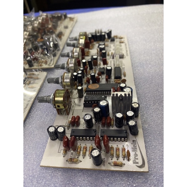 Bo Echo Reverb ProMein