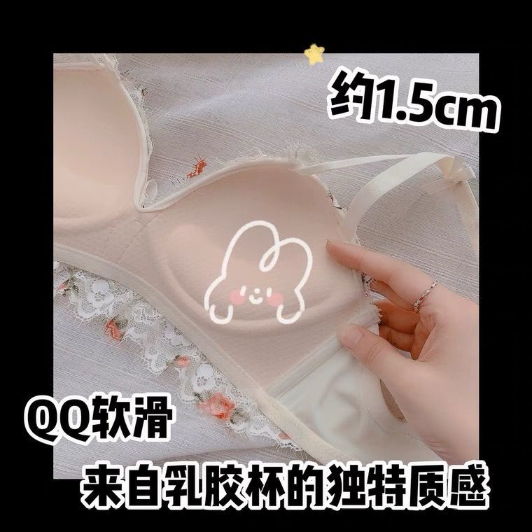 Bán Chạy!F &amp; X Bộ Đồ Lót Mỏng [Hoa Hồng Sơn Dầu Cổ Điển] Áo Ngực Nhỏ Không Dây Điều Chỉnh Được Loại Thoải Mái Cho Nữ