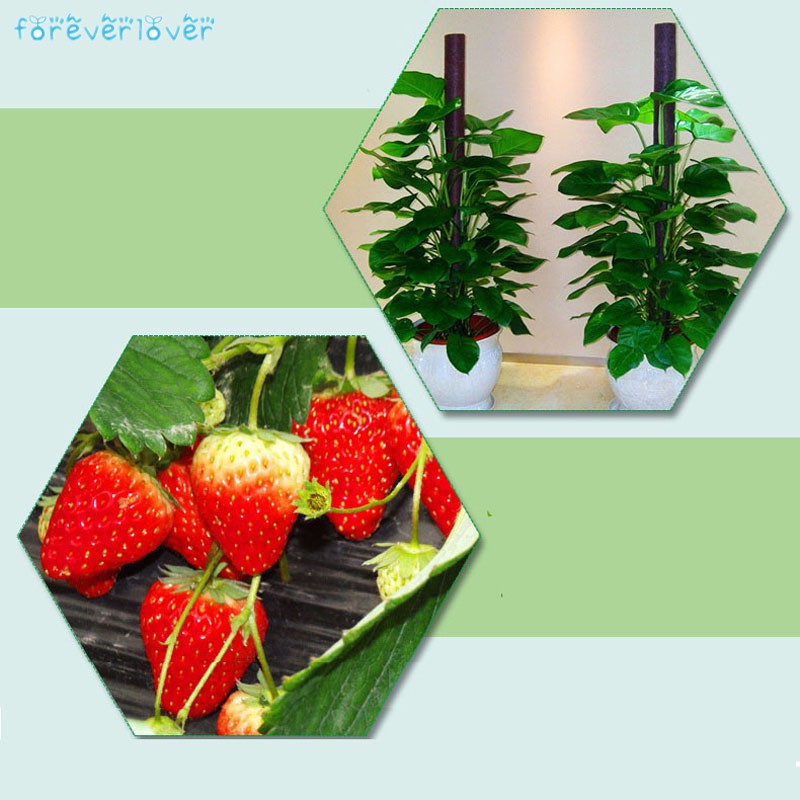 Đèn LED UV IR E27 36 bóng dùng để trồng rau trong vườn