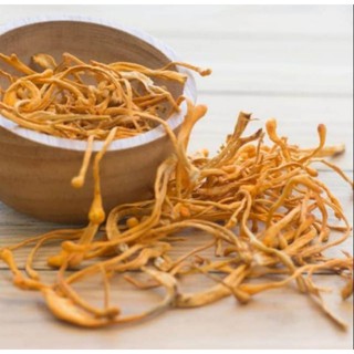 100g Nấm đông trùng hạ thảo. Date luôn mới
