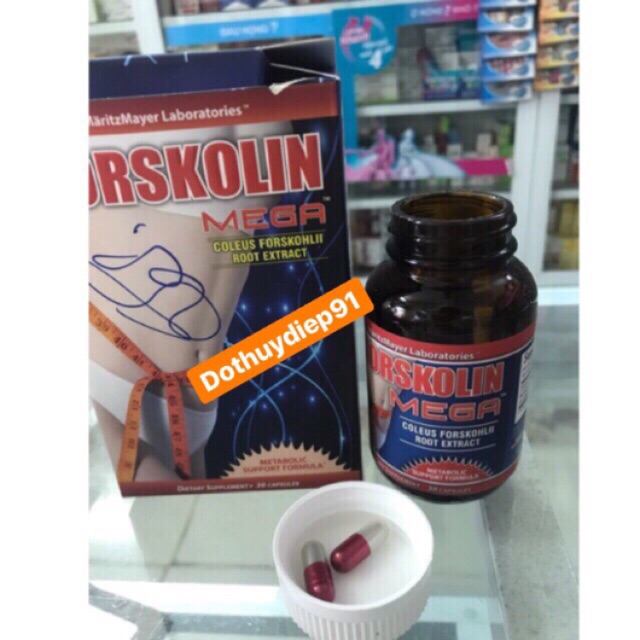Viên giảm cân Forskolin Mega nhập khẩu Mỹ