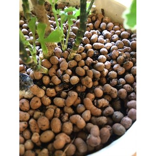 1 kg viên đất nung (sỏi nhẹ) kích thước nhỏ 0.3-1 cm