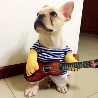 Áo khãy đàn ghi ta