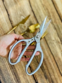 KÉO CẮT GÀ