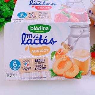 🍓SỮA CHUA BLEDINA PHÁP