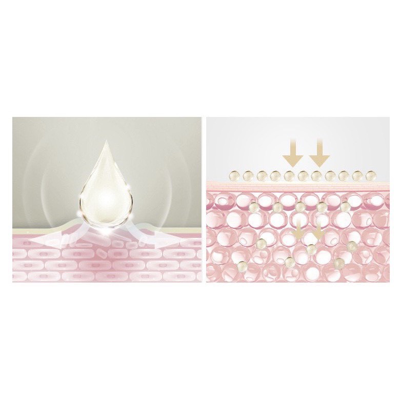 Hộp 20 ống Tinh Chất Tổ Yến - SNP Premium Bird's Nest Capsule Ampoule Dưỡng ẩm tái tạo làm sáng mịn da