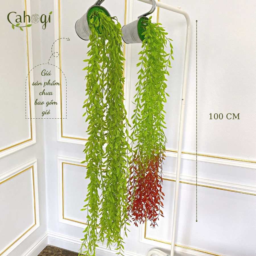 Chùm Dây Leo Lá Giả Trang Trí - Dây Cúc Tần Ấn Độ 100 Cm