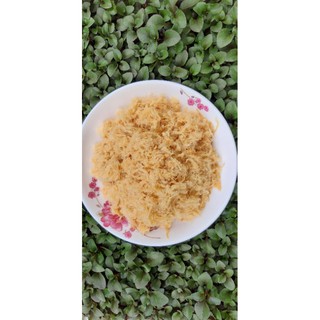 10kg chà bông xù bông vàng