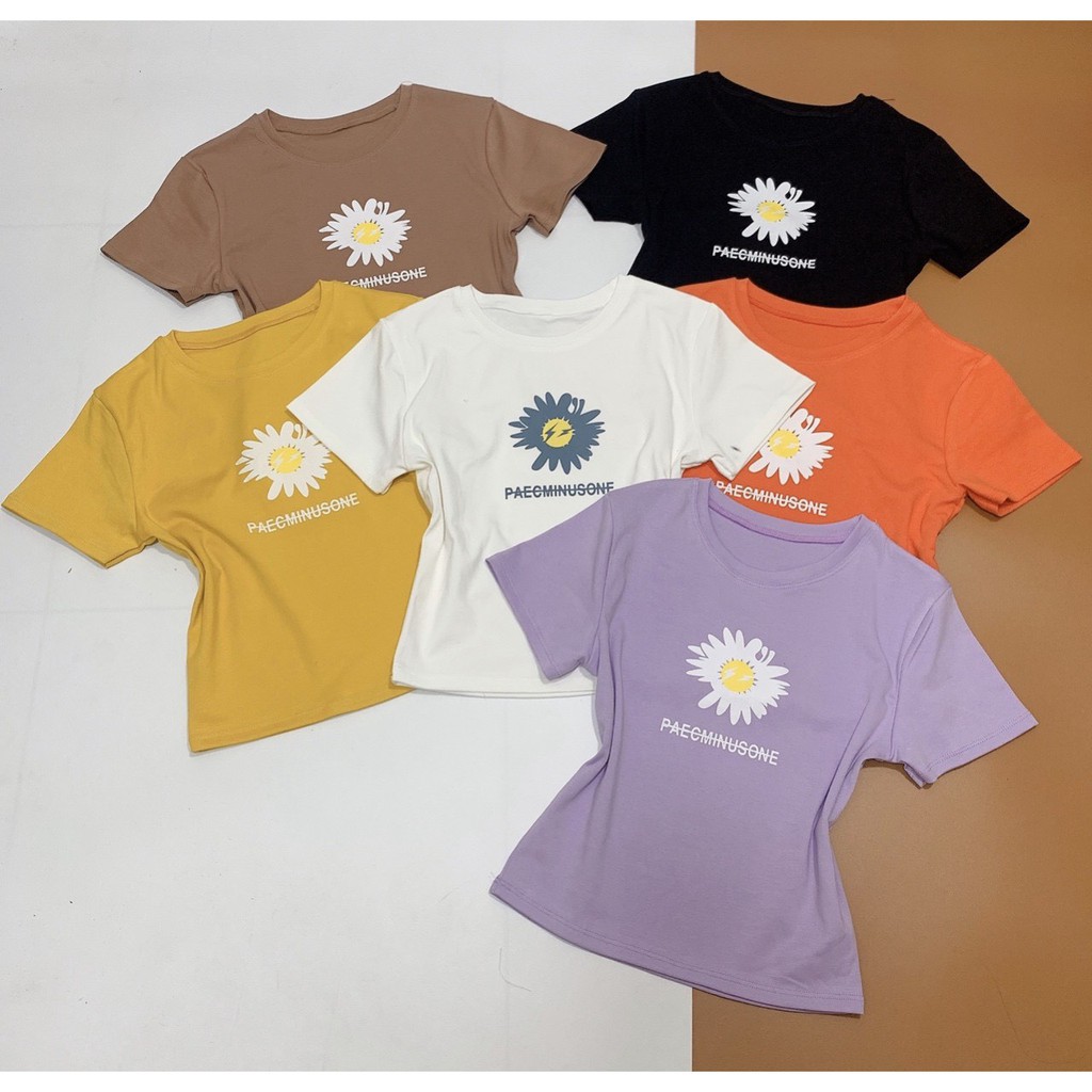 Áo croptop in hình hoa cúc chữ gạch xinh