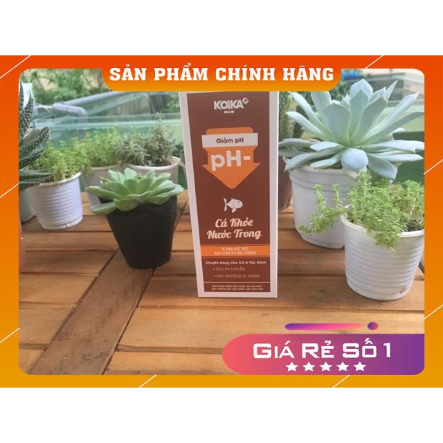 [Bản mới nhất]Giảm pH -KOIKA(tặng kèm bộ test PH)