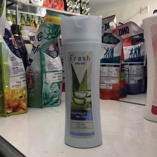 Dầu gội Fresh đủ màu 320g.