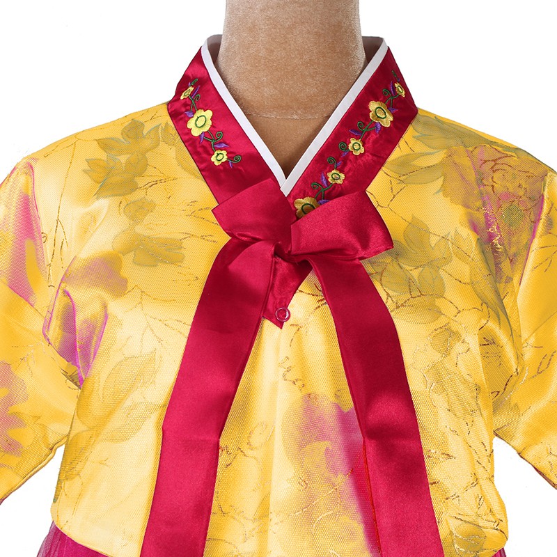 Hanbok Hàn Quốc Nữ, Bộ Trang Phục Truyền Thống Phụ Nữ Hàn Quốc Cực Kỳ Đẹp Mắt