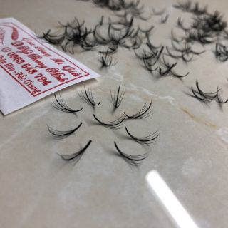 Mi trụ katun hộp 500 fan trụ siêu rẻ siêu đẹp