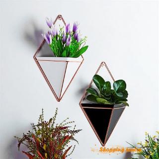 Bộ 2 chậu cây treo tường mini
