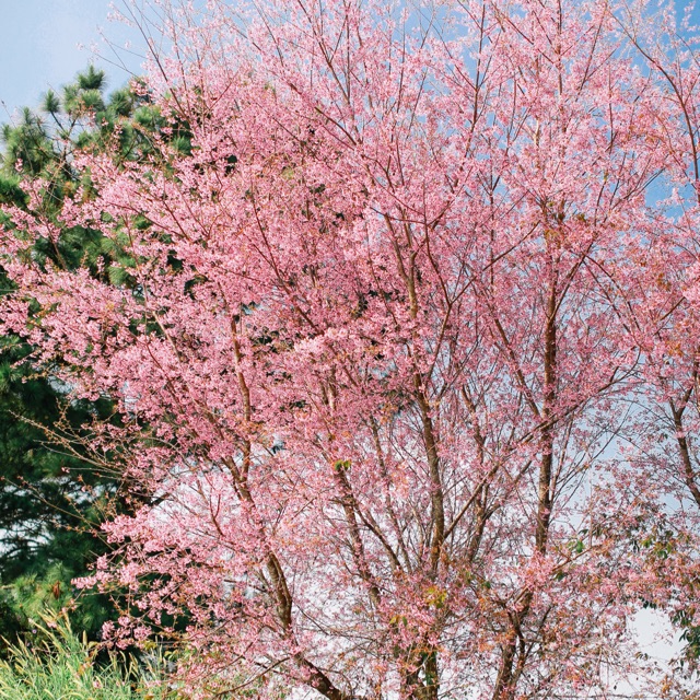 do_phuong88, Cửa hàng trực tuyến | BigBuy360 - bigbuy360.vn