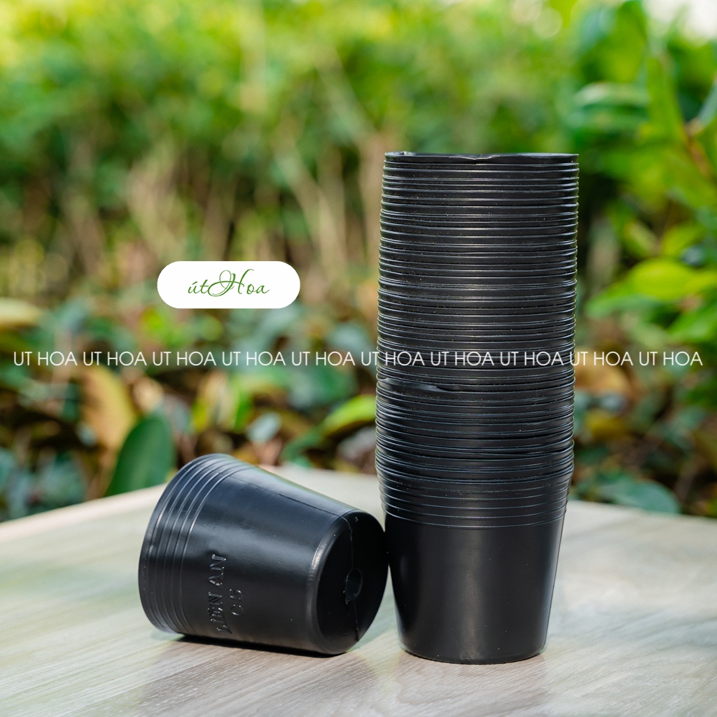 Combo 50 chậu nhựa đen C5 size nhỏ ươm cây, trồng cây con