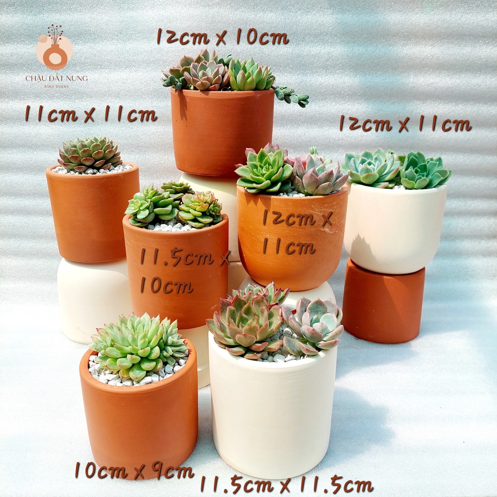 Chậu đất nung, Chậu sen đá - Trụ các kích thước từ 10cm đến 12cm