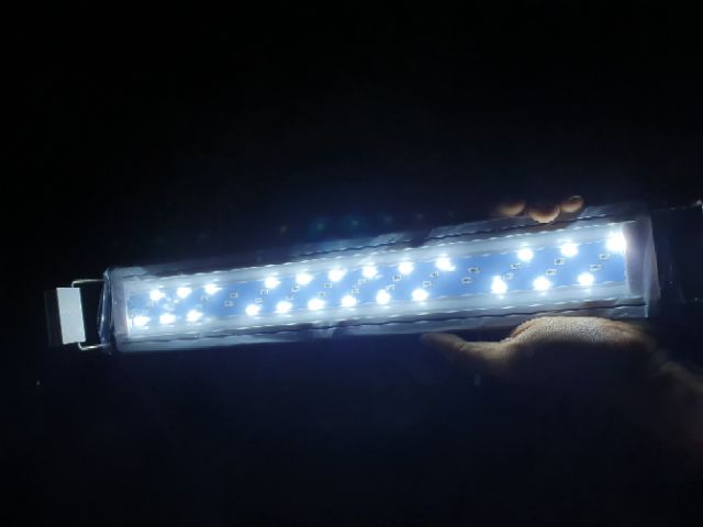Đèn led thủy sinh 3 chế độ sáng 20cm, 30cm, 40cm, 50cm 60cm
