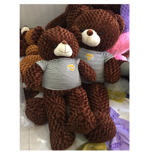 Gấu Teddy khổ vải 1m6 1m8