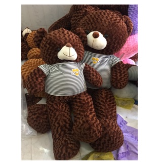 Gấu Teddy khổ vải 1m6 1m8