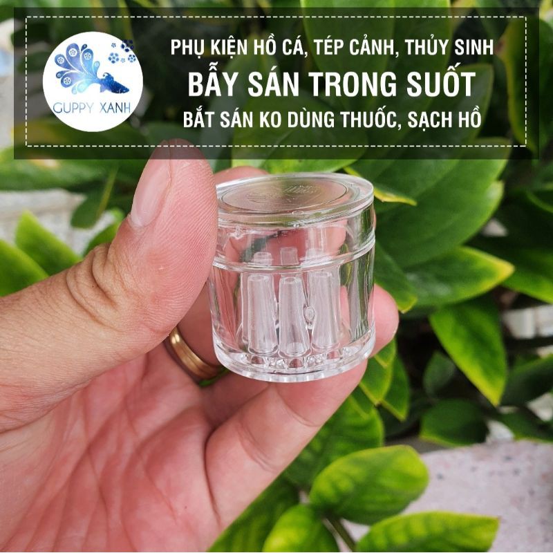 Bẫy Giun Sán Acrylic 8 Lỗ Planaria Trap