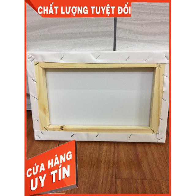 50  toan vẽ tranh 20x30 cm