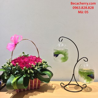 Bể Cá Mini Chữ X - 05 ( Tặng Kèm Phụ Kiện Trang Trí )