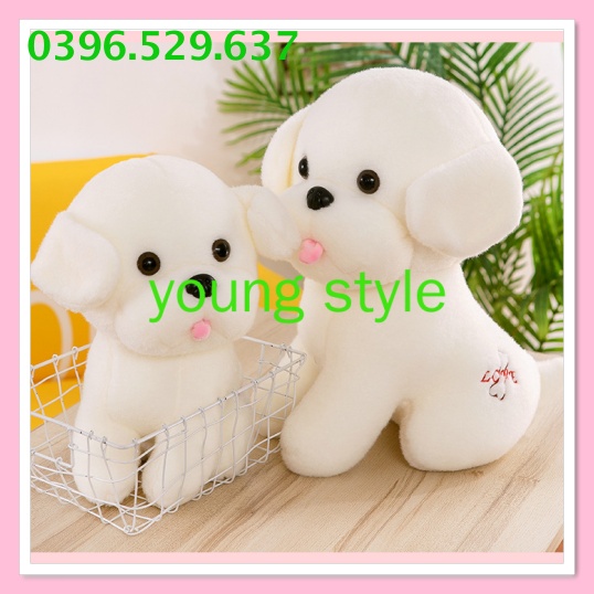 Gấu bông teddy bear Chó bông tuyết, thú nhồi bông chó bông tuyết cực dễ thương