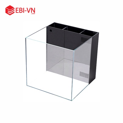 Hồ Lọc Vách Kính Full Siêu Trong 20x20x20 cm Ebivn