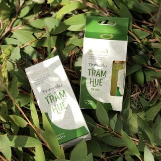 Tinh dầu tràm Huế bi lăn 10ml