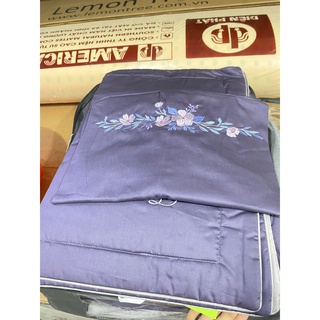 Bộ Drap chun chần EVERON MDSC089