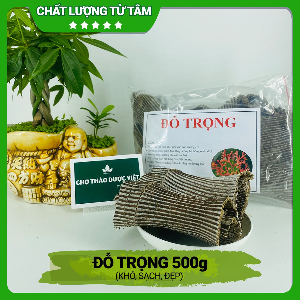 Đỗ trọng khô, sạch, đẹp 500g - Chợ Thảo Dược Việt
