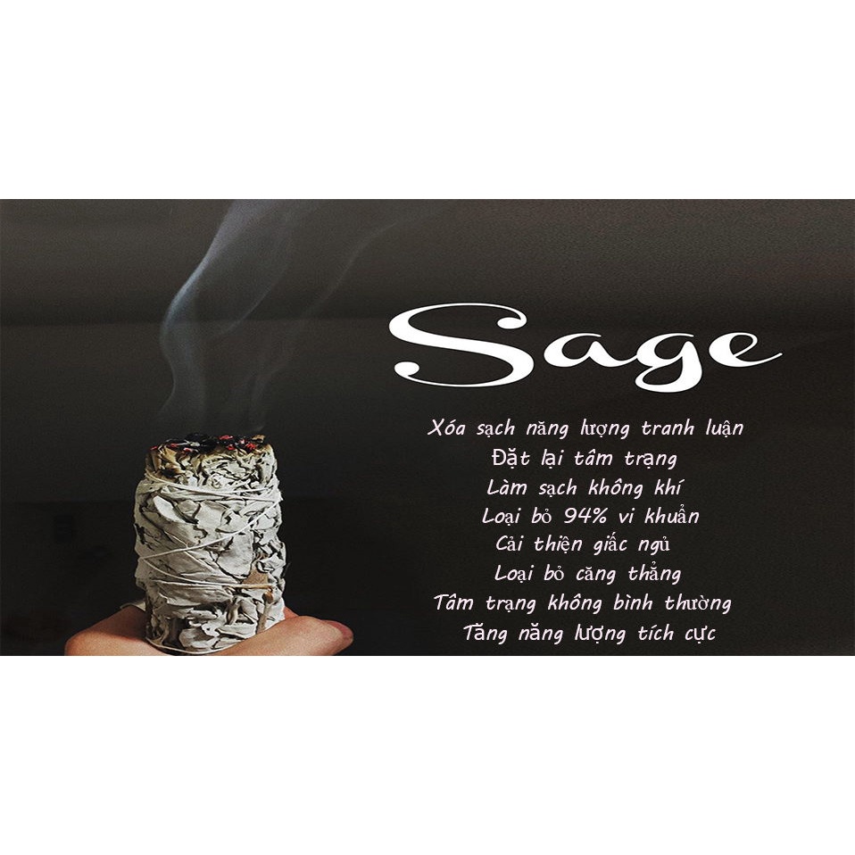 White Sage/Blue Sage/Cedar Sage/Palo Santo -Xô Thơm Trắng/Xô Thơm Xanh/Tuyết tùng/Gỗ Trắc Xanh Nam California nhiều size