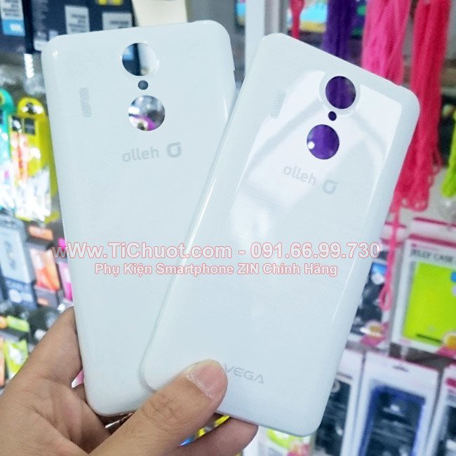 Nắp Lưng,Nắp Pin SKY A900 (VEGA Secret Up) ZIN có NFC