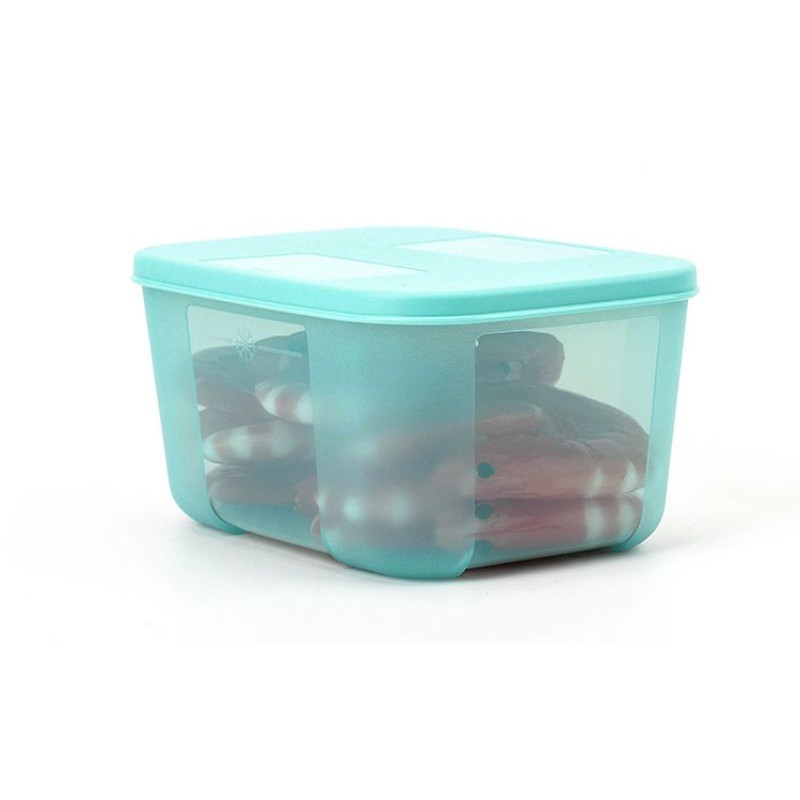 Tupperware Hộp Trữ Đông Thực Phẩm Trong Tủ Lạnh Hộp Chữ Nhật Nhiều Màu 700ml TU20 | BigBuy360 - bigbuy360.vn