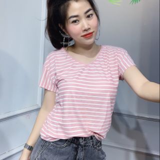 Combo 2 áo phông cổ tim