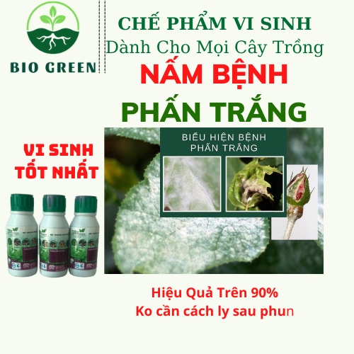 Phân bón hữu cơ vi sinh, chế phẩm sinh học bio,thuốc trừ sâu sinh học,Phấn trắng, đốm đen, rỉ sét, thán thư