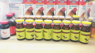 Thuốc Dưỡng Gà AMINOPLEX Chiết 10ml