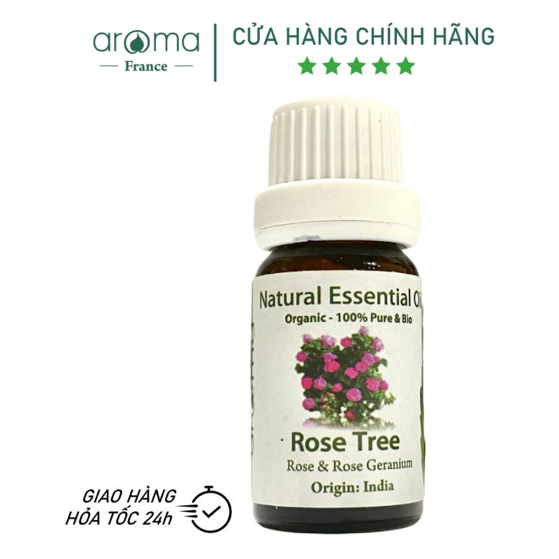 Tinh Dầu Thiên Nhiên / AROMA / Hoa Hồng Leo - Rose Tree Essential Oil 10ml