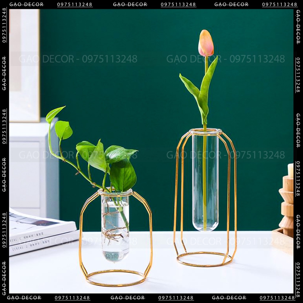 - Lọ hoa thủy tinh khung thép - Đơn giản - Hiện đại - Trang trí tết 2024