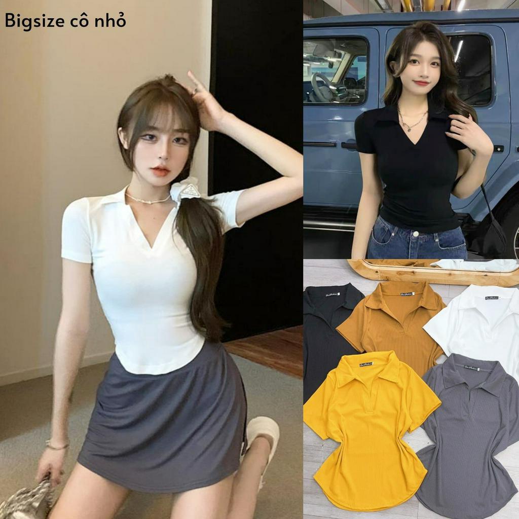 Áo Polo BigSize Nữ(58kg-95kg),Áo Thun Kiểu Cổ Trụ Vạc Bầu Vải Gân Tăm Mặc Đi Học Đi Làm Đi Chơi Đều Đẹp Mã G120
