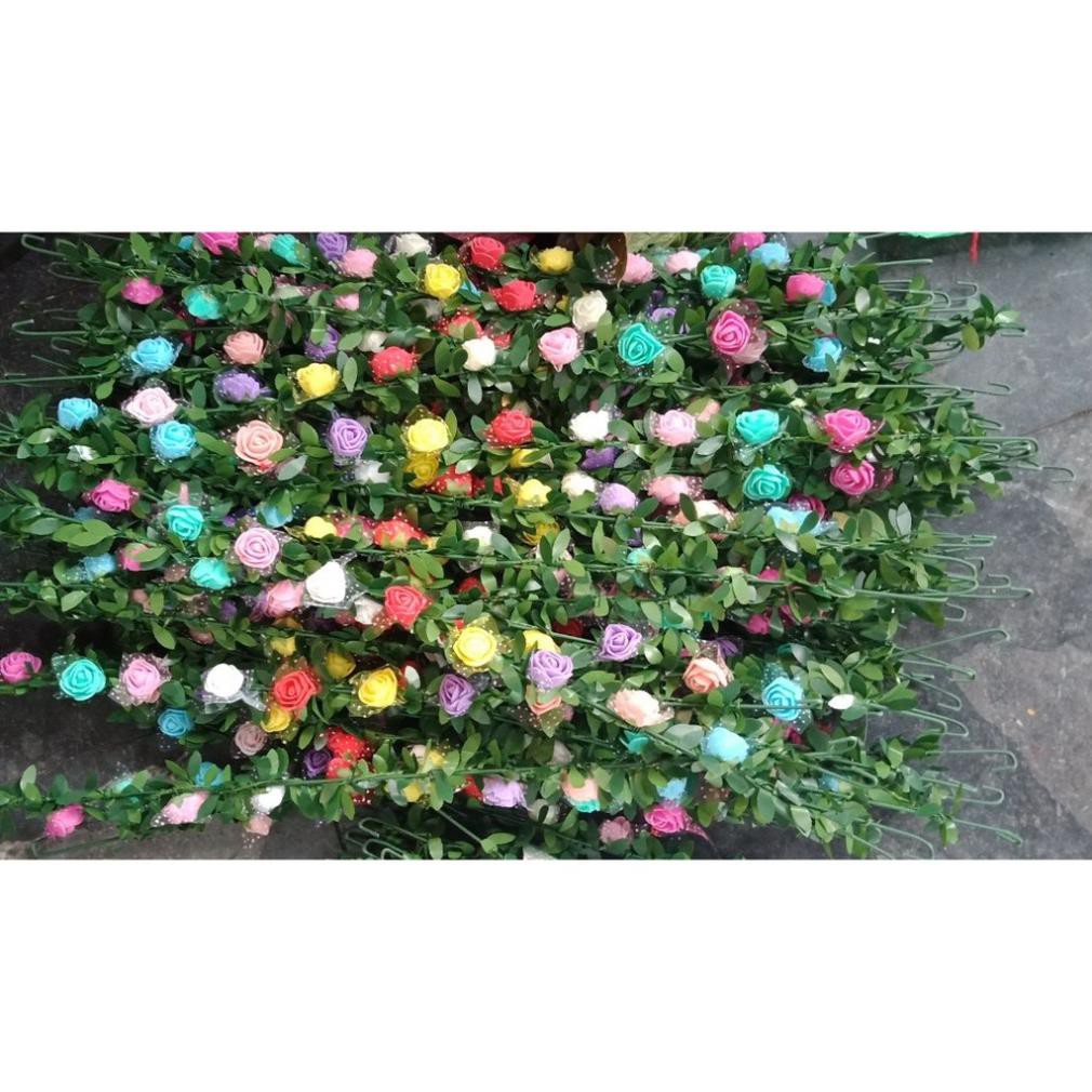 HOA ĐỘI ĐẦU CHỤP ẢNH CHẤT LƯỢNG